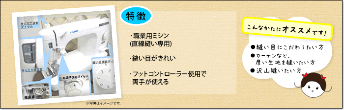 Dタイプミシン