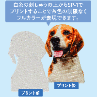ブラザー 昇華転写プリンター 「SP-1」
